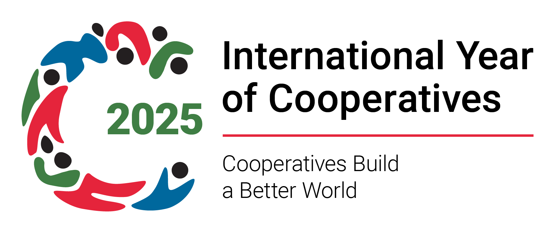 IYC 2025 Logo