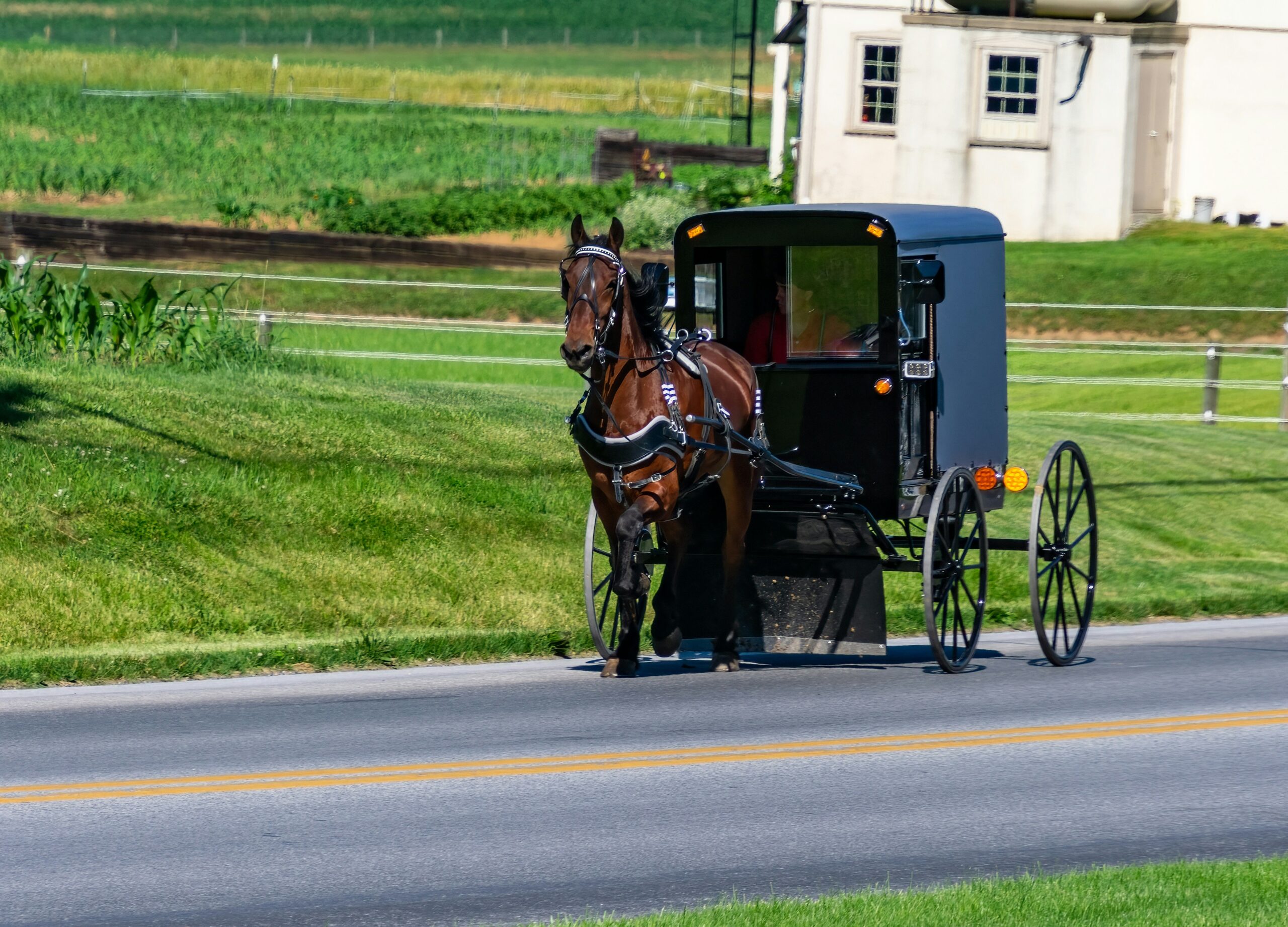 Amish Community and Market Atmosphere