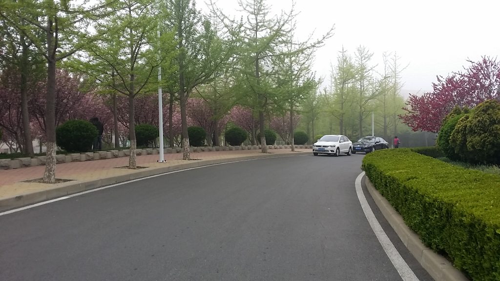 睡在我上铺的兄弟